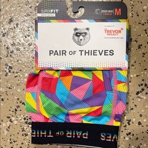 Pair of Thieves Multicolor Boxer Briefs